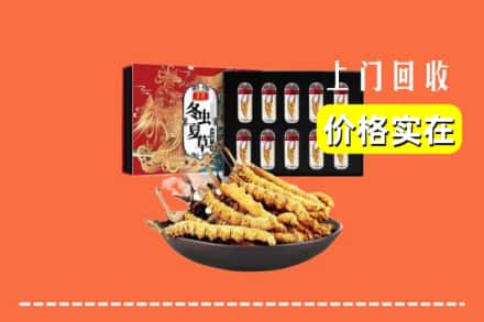 阳泉盂市回收冬虫夏草